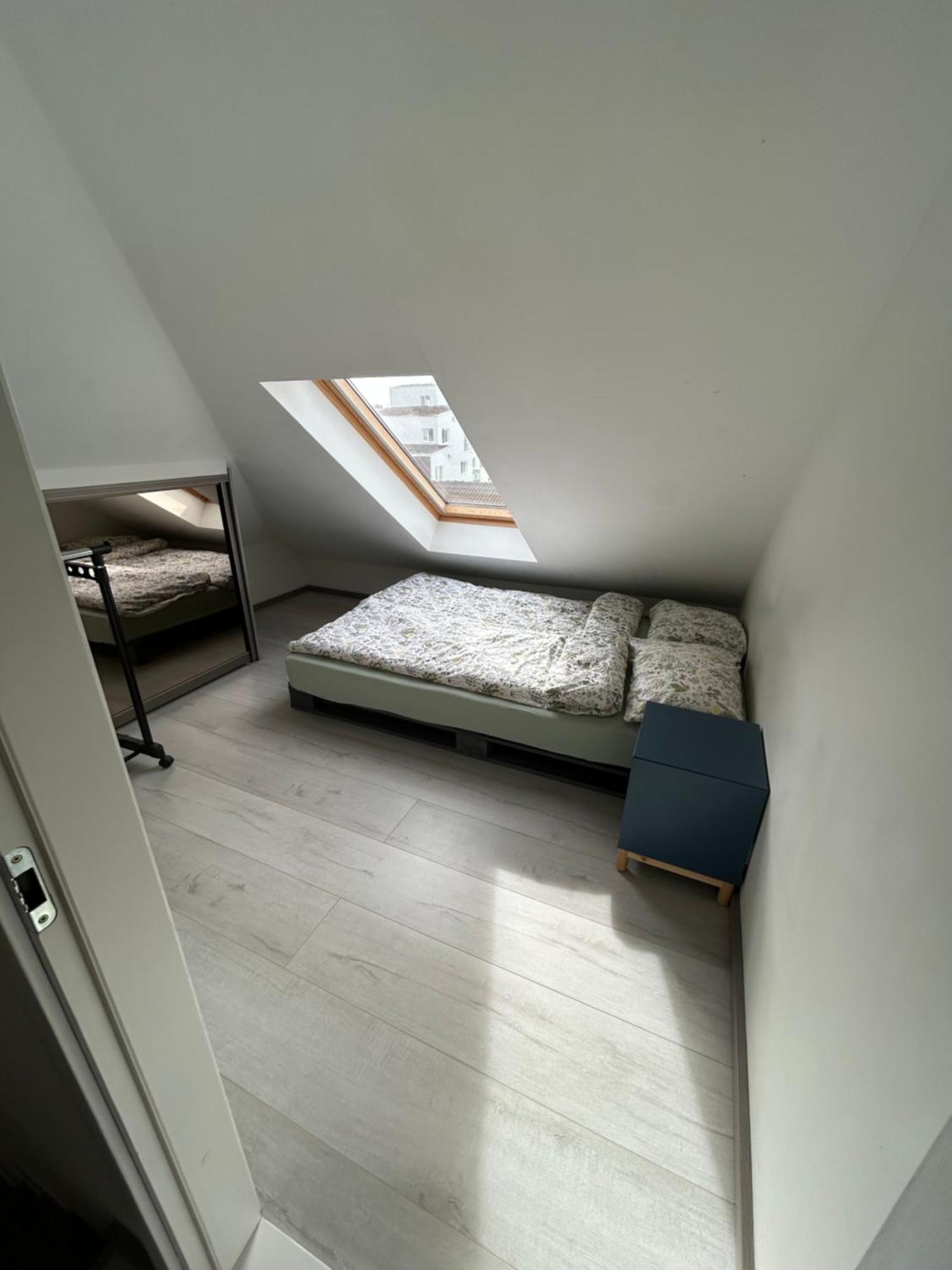 Sun Filled Oasis Apartamento *